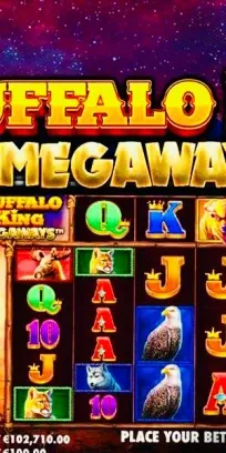 Buffalo King preview 3